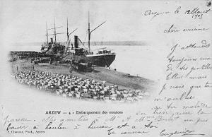 ARZEW EMBARQUEMENT DES MOUTONS 1909